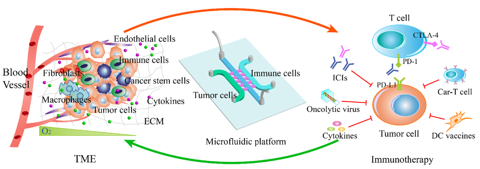 1679991504545020948.png 1679991504545020948.png