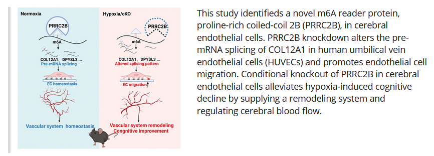 1688981433127029761.png 1688981433127029761.png