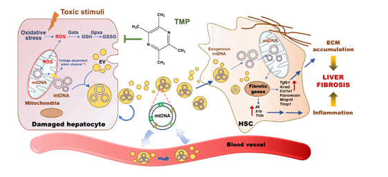 1657250014024023607.png 11.png