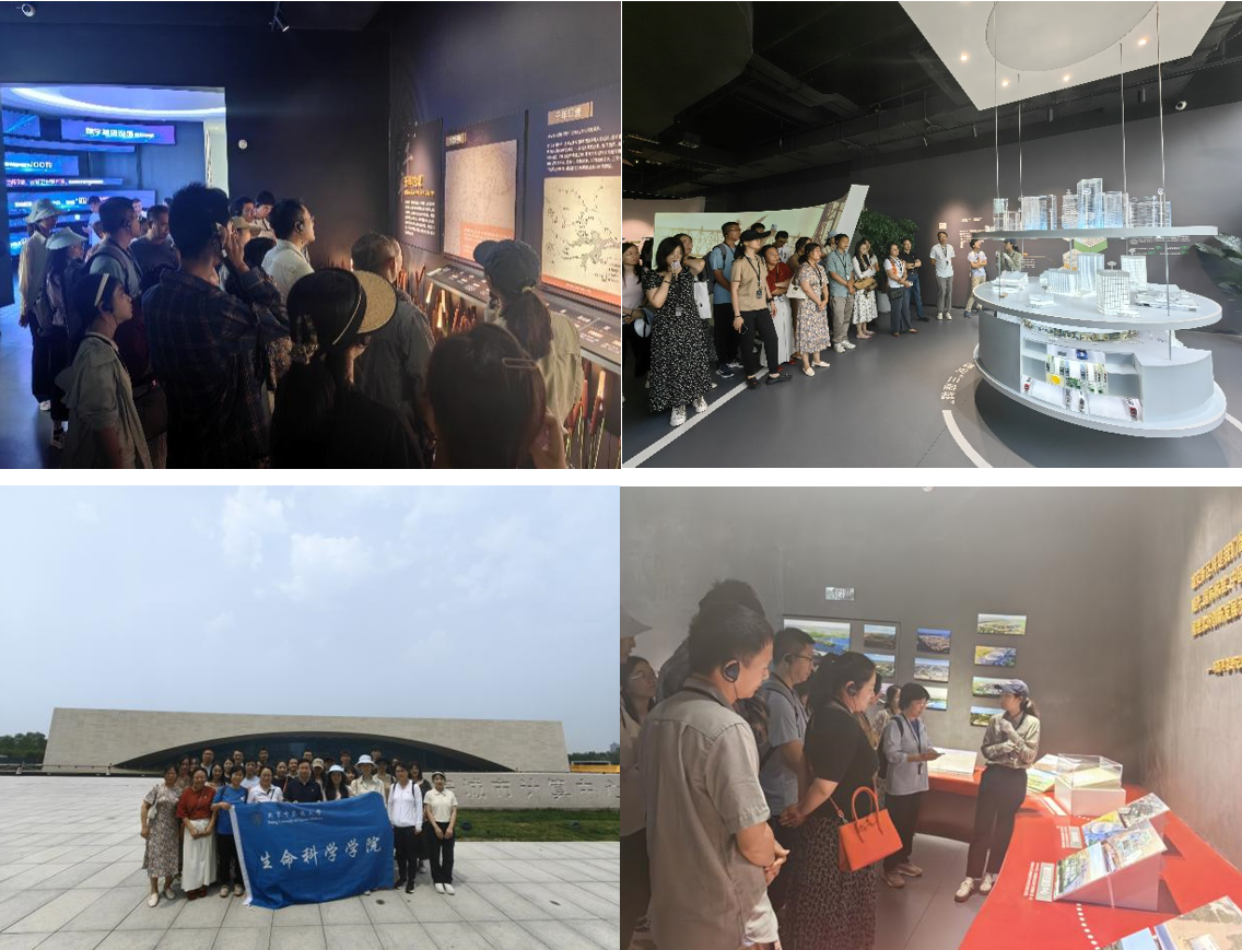 1721197836565018905.png 新闻2.png